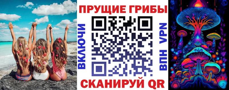 Галлюциногенные грибы мицелий  купить закладку  Благодарный 